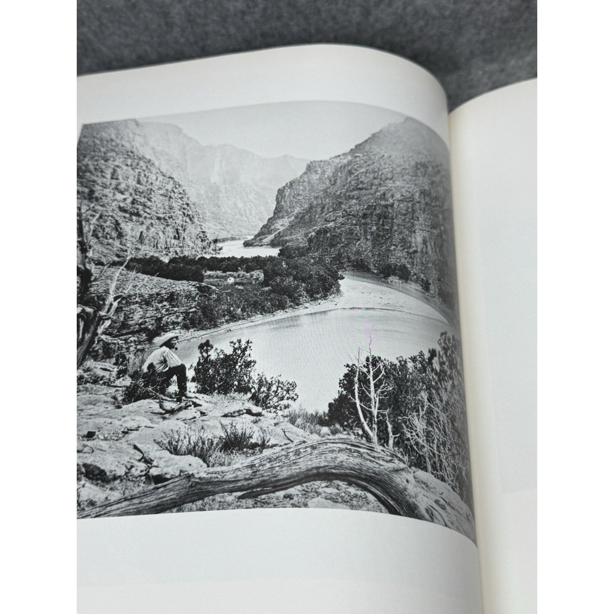 1979 The Story of American Photography Martin Sandler First Edition HC DJ
