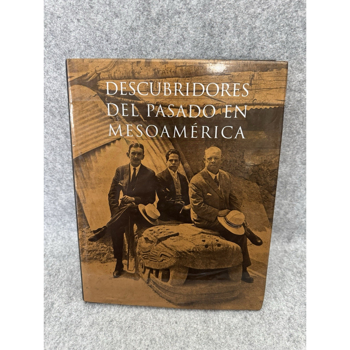 Descubridores del Pasado en Mesoamérica HC 2001 Archaeology Art History