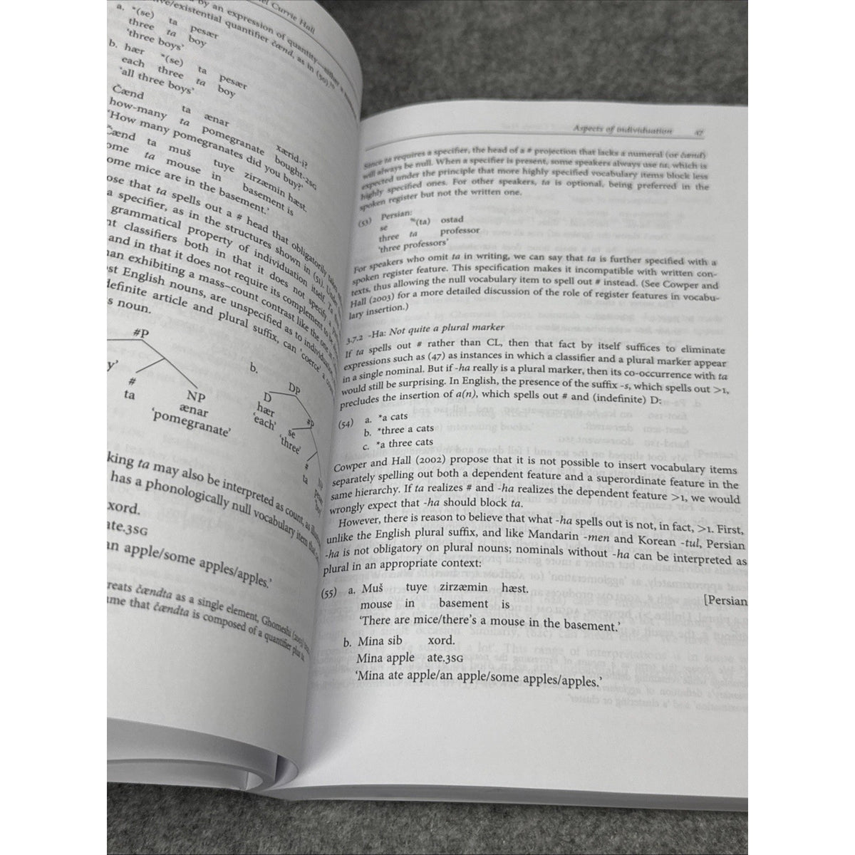 Oxford Studies in Theoretical Linguistics Ser.: Count and Mass Across Languages
