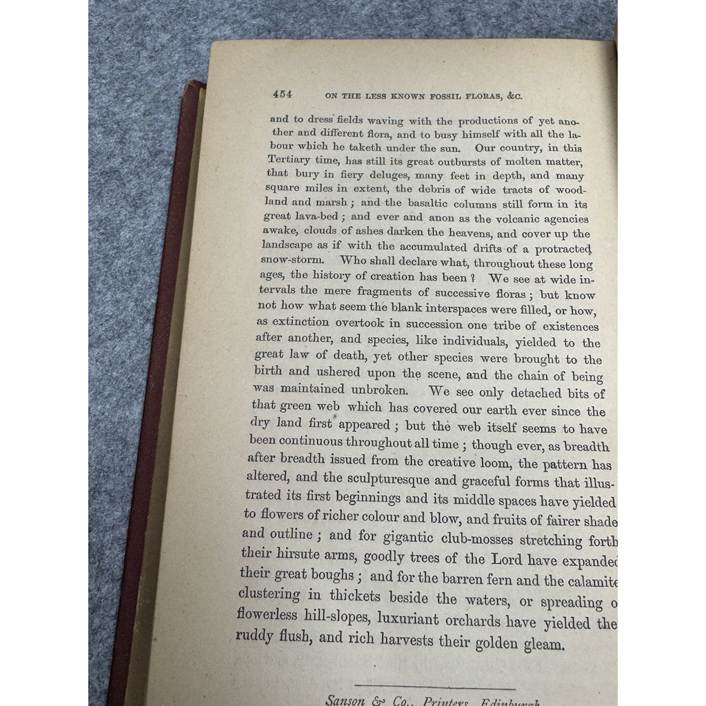 The Testimony of the Rocks Hugh Miller Antique Illustrated Geology Theology HC
