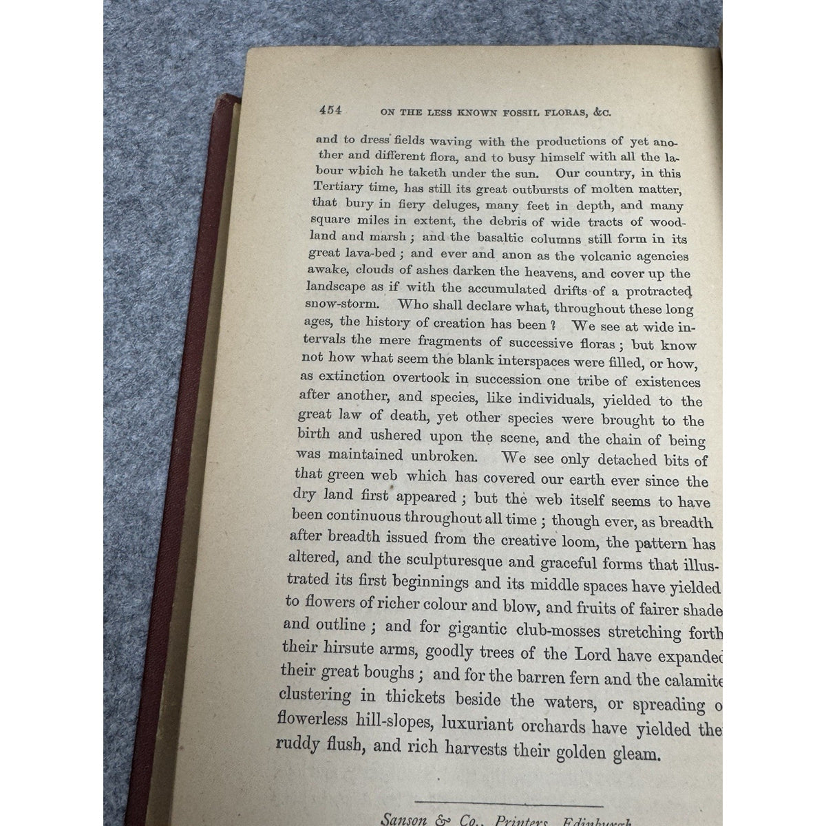 The Testimony of the Rocks Hugh Miller Antique Illustrated Geology Theology HC