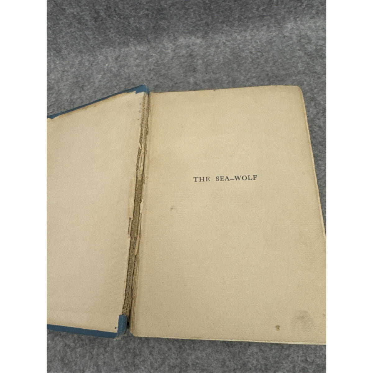 The Sea-Wolf By Jack London First Edition First Printing Macmillan October 1904