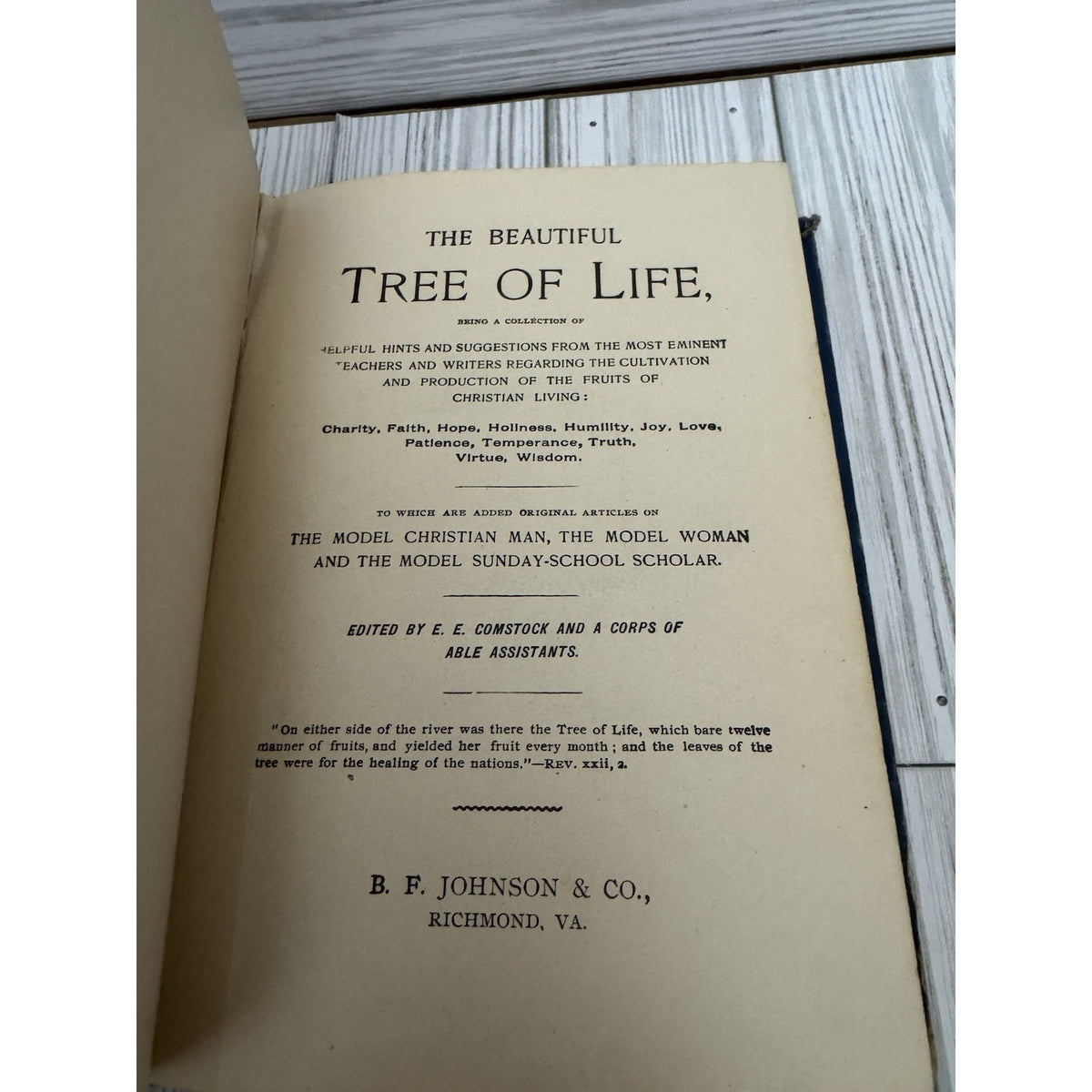 The Beautiful Tree of Life 1892 H.S. Smith B.F. Johnson Richmond VA HC