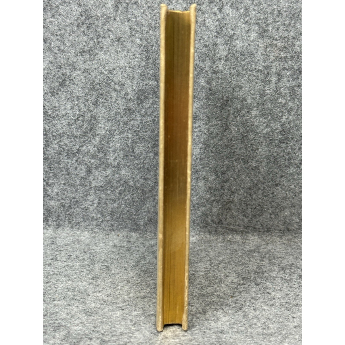 Rare 1891 Emily Dickinson Poems Second Series 1st Ed 1st Print All Edges Gilt