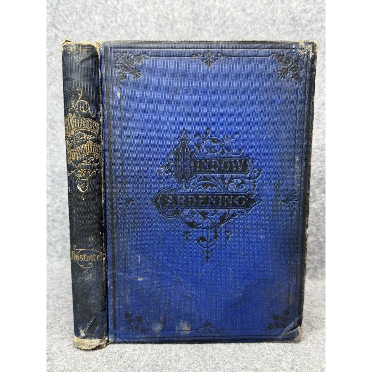 1877 Window Gardening Henry T Williams Illustrated Victorian Plants Hardcover