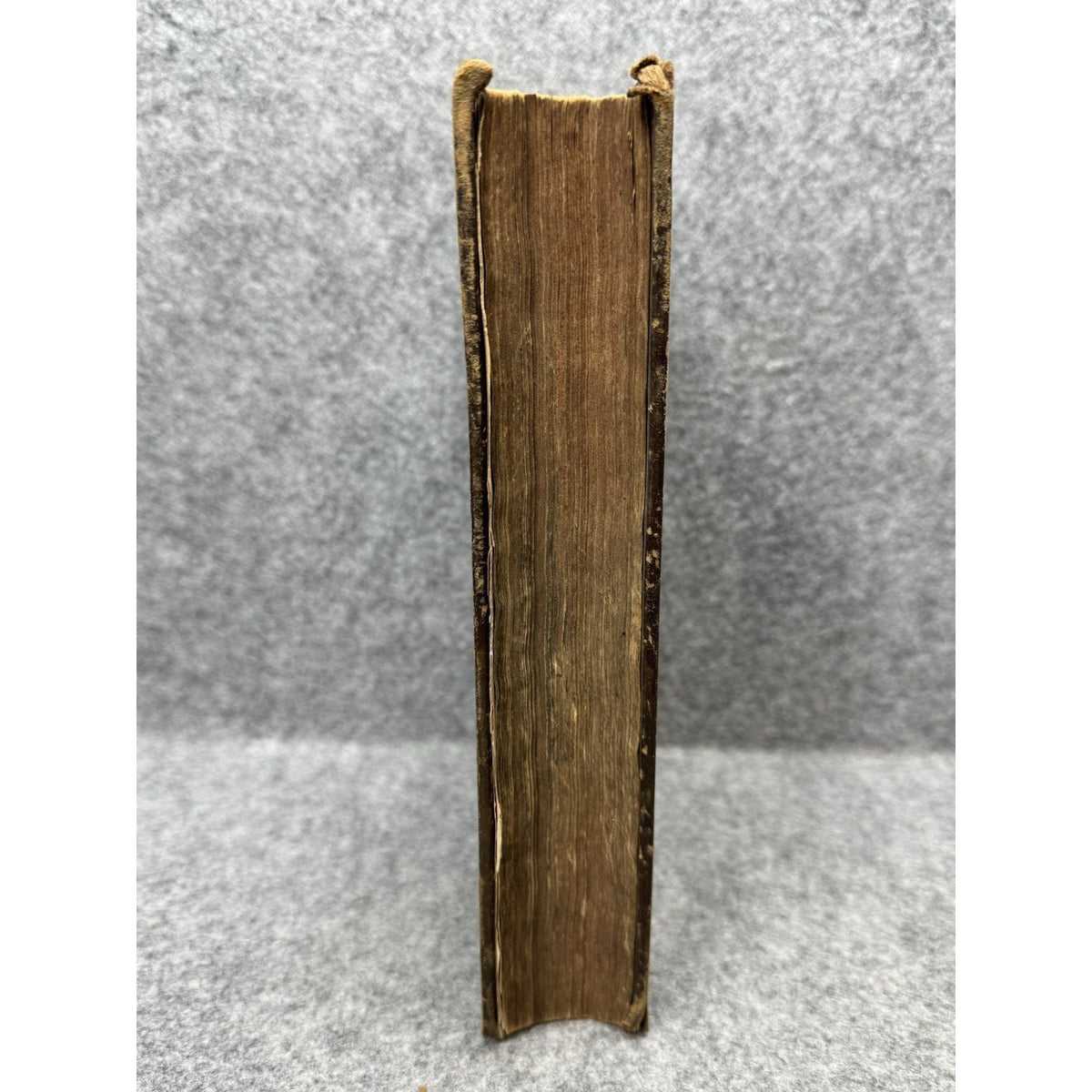 Rare 1845 Latter-Day Saints’ Millennial Star Vol VI Wilford Woodruff LDS