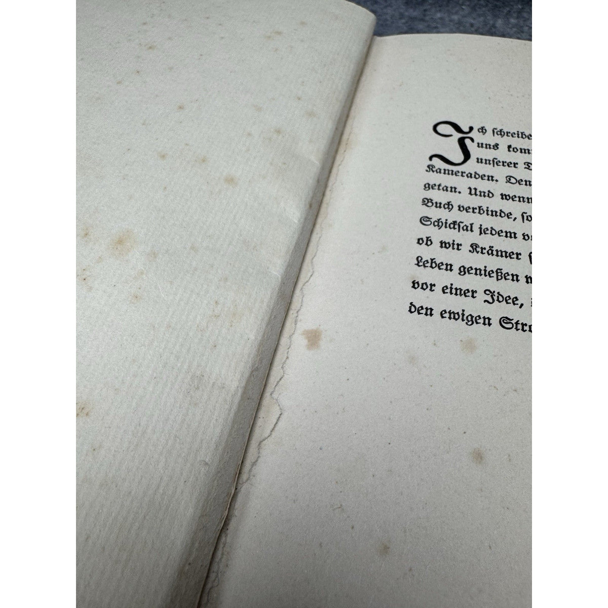 Ernst Udet Signed Mein Fliegerleben c1935-1936 WWI German Flying Ace Illustrated