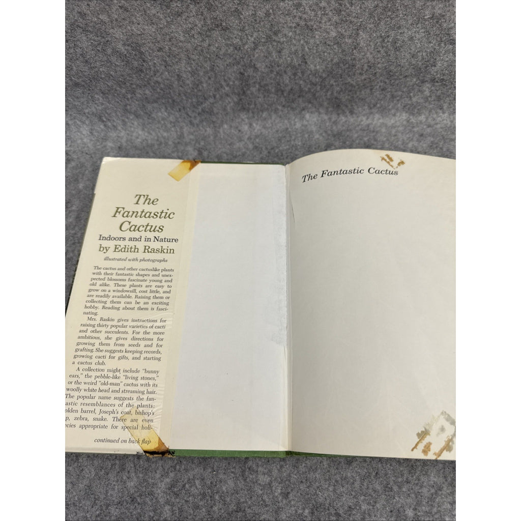 The Fantastic Cactus, Indoors and in Nature by Edith Raskin - Hardcover