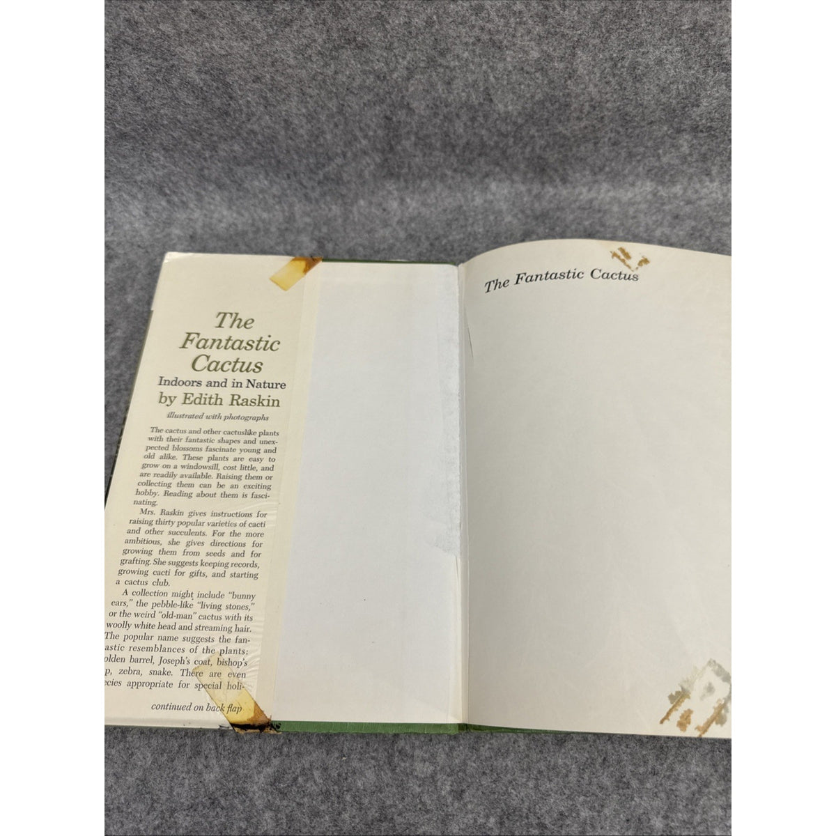The Fantastic Cactus, Indoors and in Nature by Edith Raskin - Hardcover