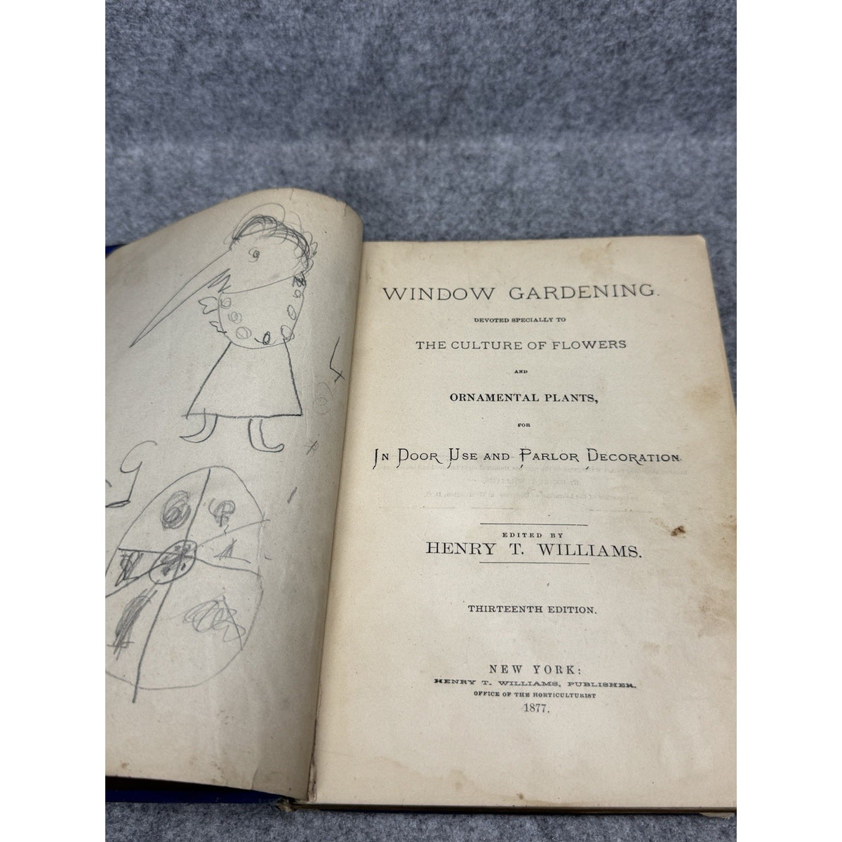 1877 Window Gardening Henry T Williams Illustrated Victorian Plants Hardcover