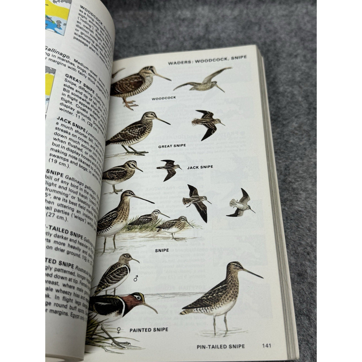 Birds of Britain and Europe 1974 Heinzel Fitter Parslow Illustrated Field Guide