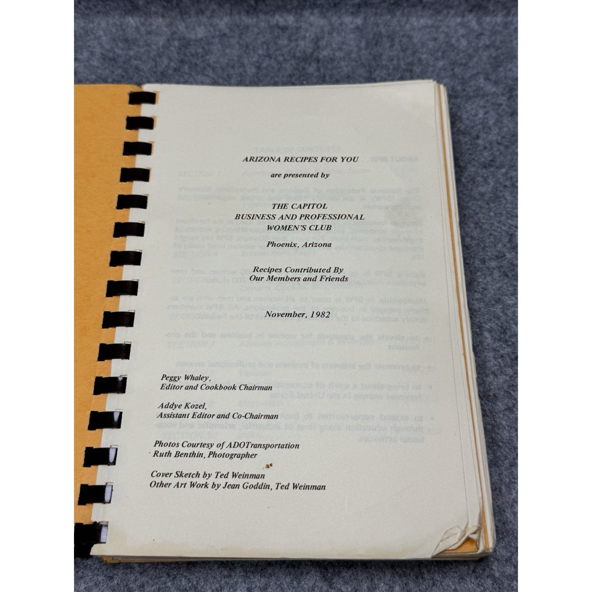 Arizona Recipes for You 1982 Phoenix BPW Club Vintage Community Cookbook