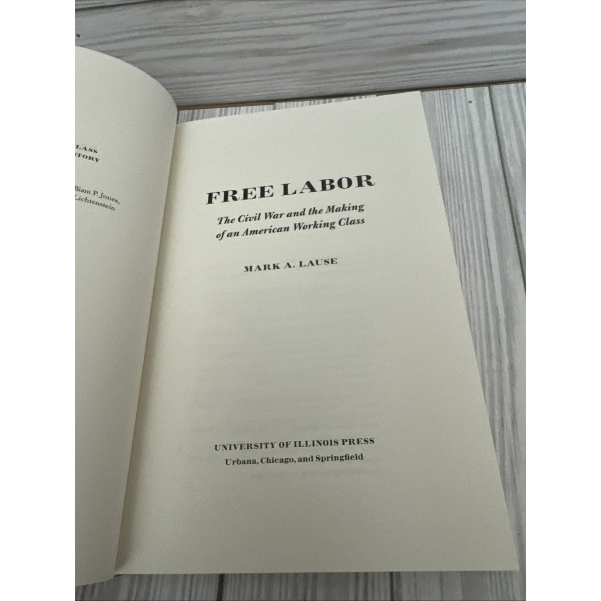 Free Labor – The Civil War and the Making of an American Working Class Lause