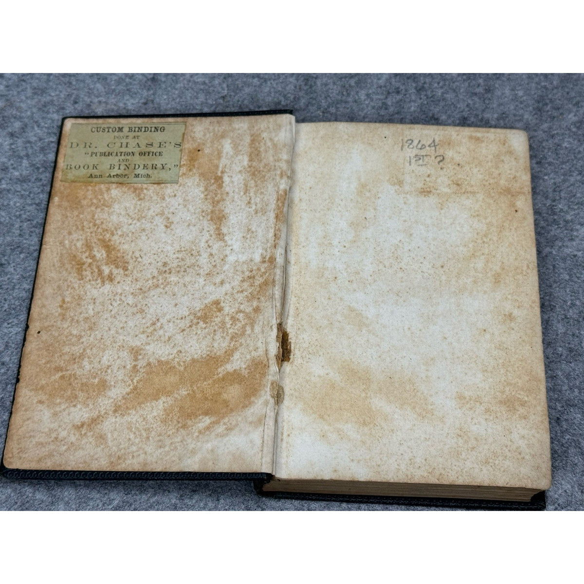 Gloria and Other Poems C.W. Lownsbury 1864 Civil War Michigan Poetry