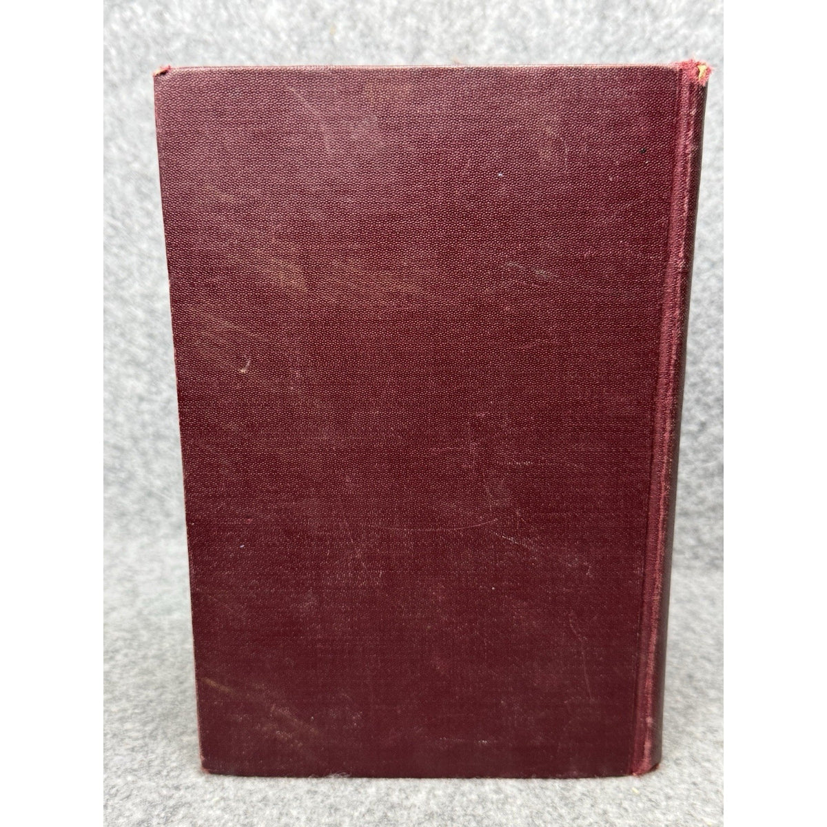 1931 Elementary Home Economics Unit-Problem Plan Mary Lockwood Matthews HC
