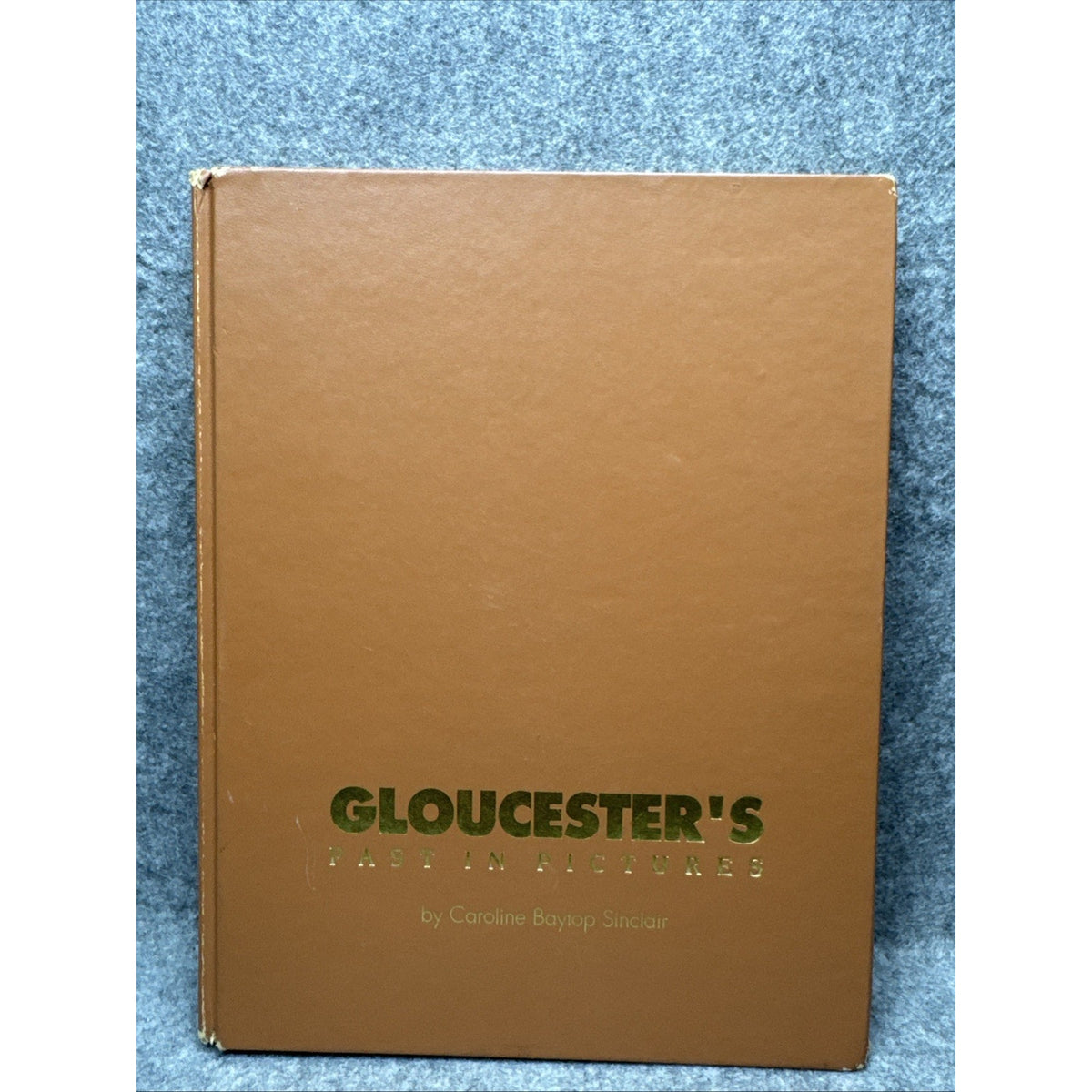 Gloucester's Past in Pictures by Caroline Baytop Sinclair