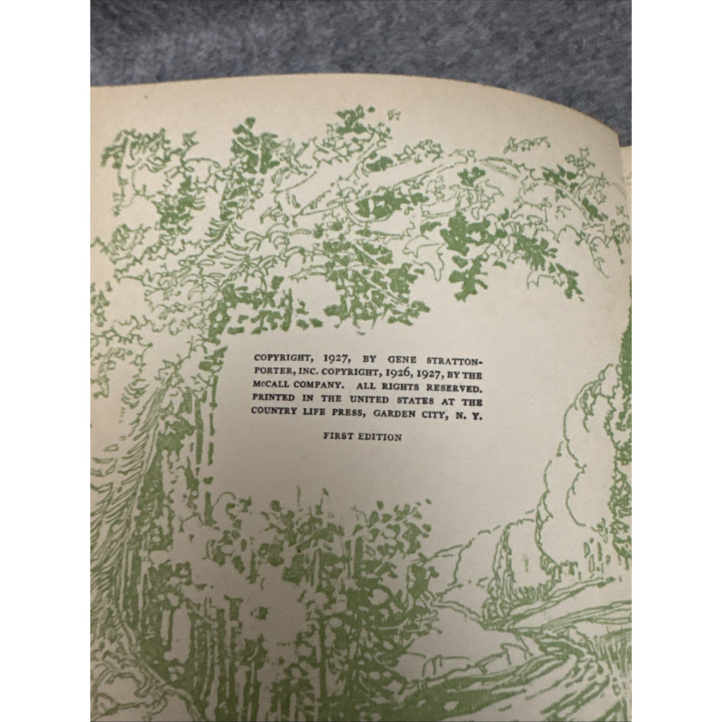 The Magic Garden by Gene Stratton-Porter 1927 HCDJ First Edition