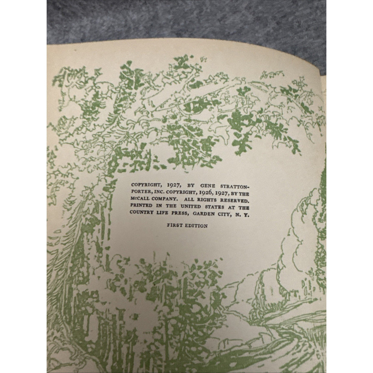 The Magic Garden by Gene Stratton-Porter 1927 HCDJ First Edition
