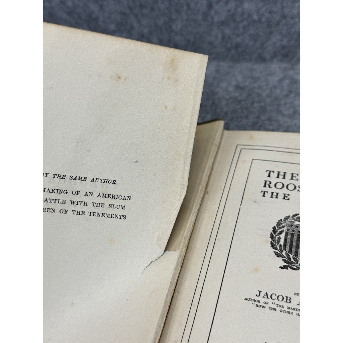 Theodore Roosevelt the Citizen Jacob A. Riis 1904 Special Edition Hardcover