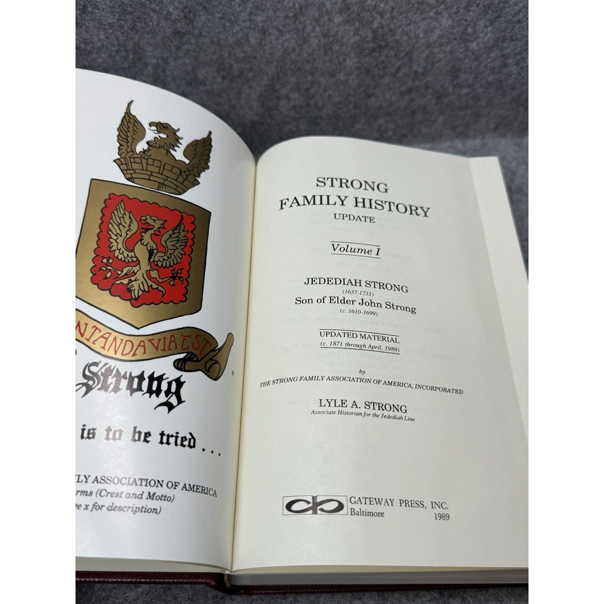 Dwight Strong Family History 1984 2 Vol + 1989 Jedediah Update Genealogy