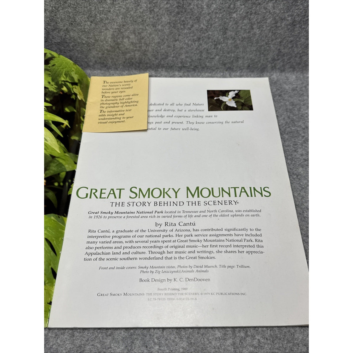 Great Smoky Mountains : The Story Behind the Scenery by Rita Cantu (1979, Trade