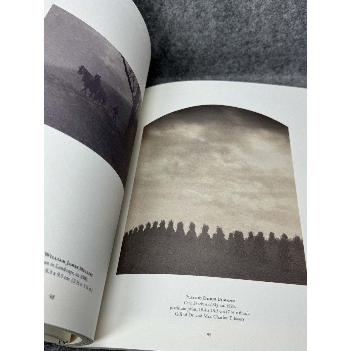 1996 American Photographs The First Century Merry Foresta Smithsonian