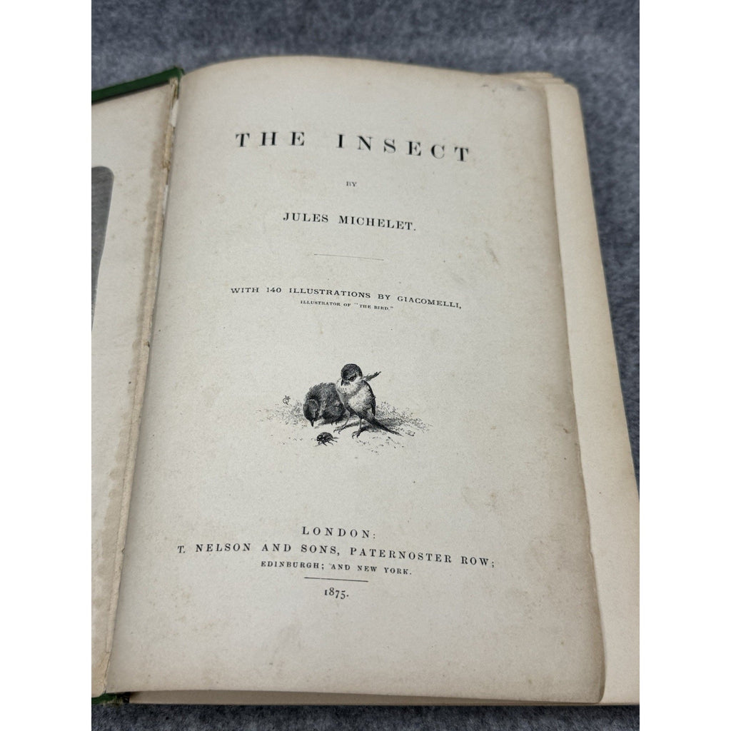 1875 The Insect Jules Michelet First English Edition Giacomelli Illustrated HC