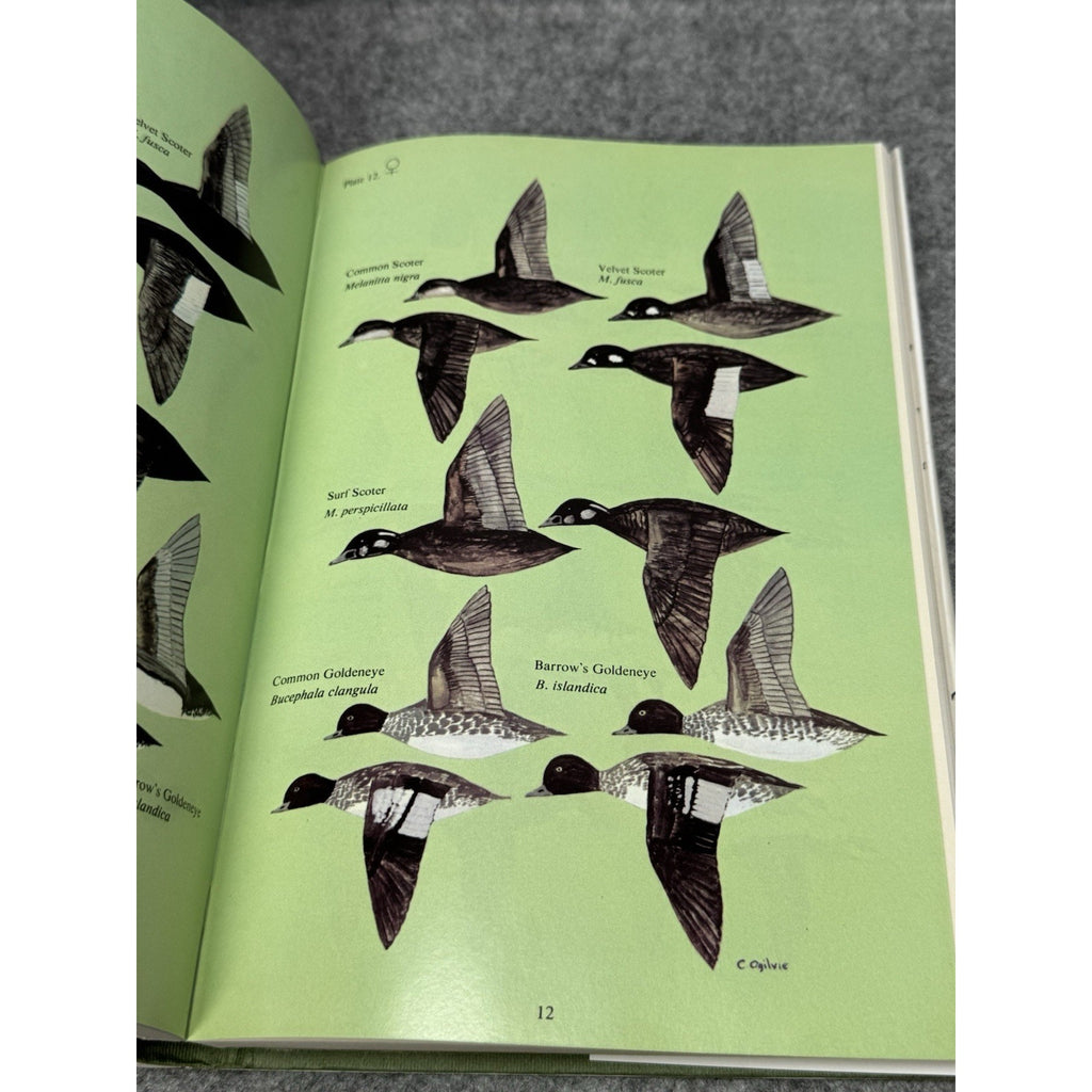 Ducks of Britain and Europe M.A. Ogilvie 1975 1st Edition HC DJ Illustrated