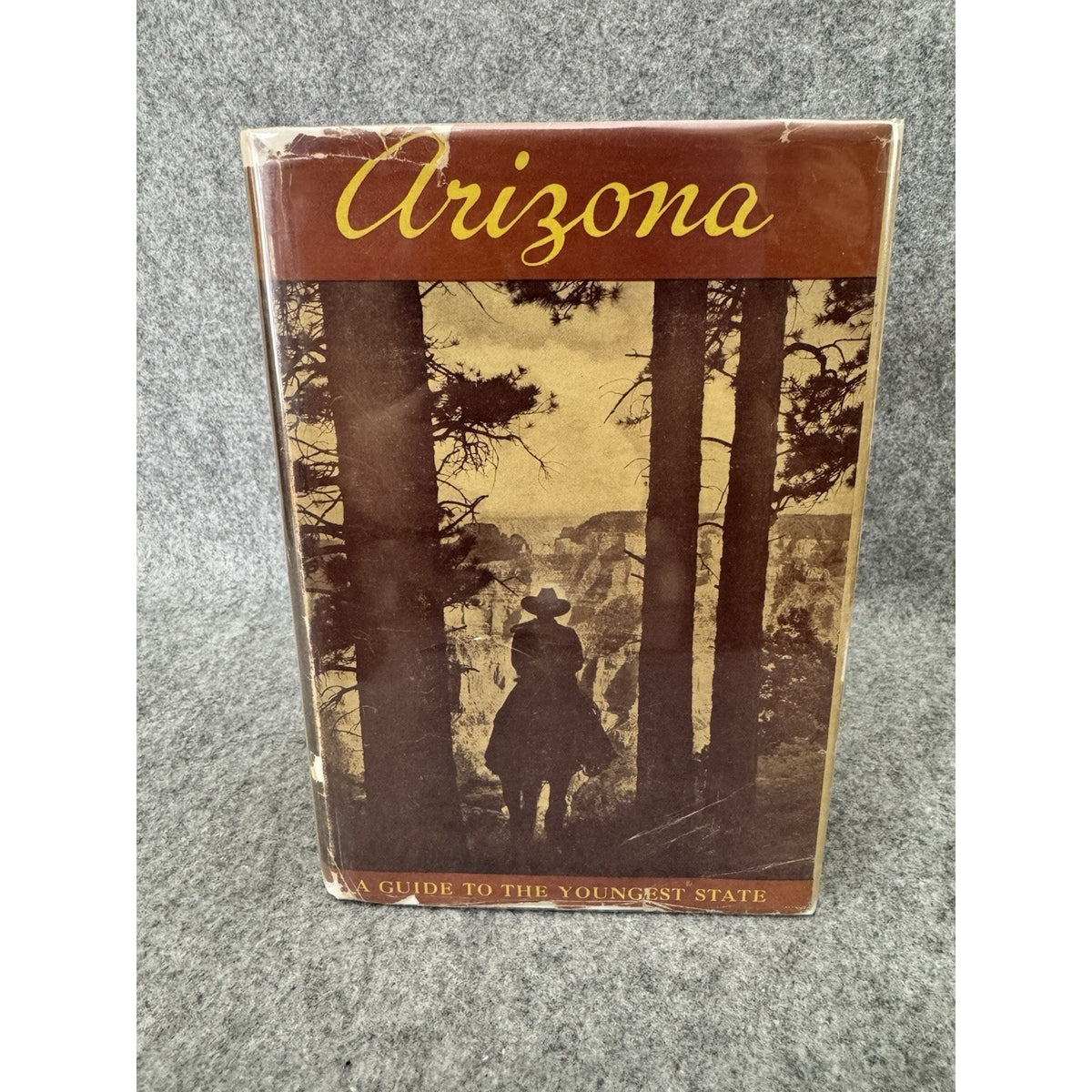 Arizona A State Guide HC DJ 1940 WPA American Guide Series Illustrated