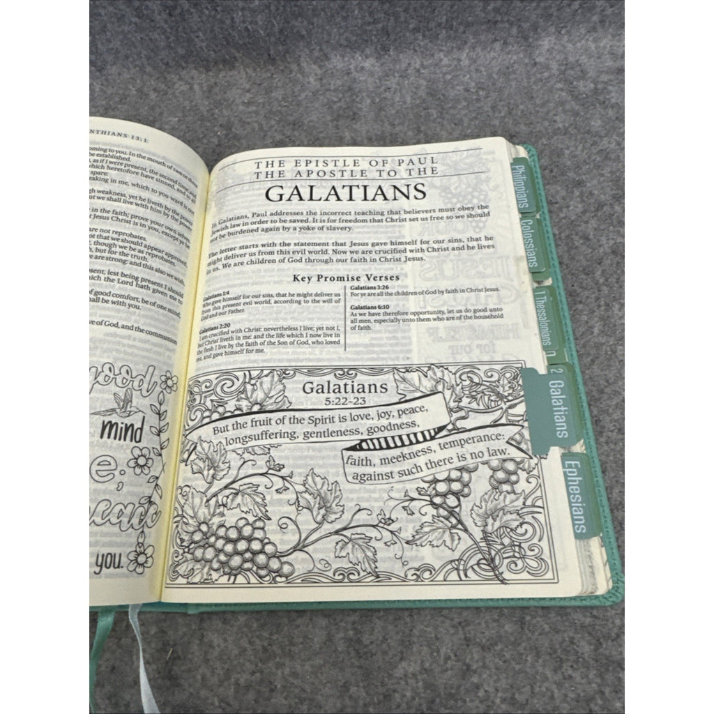 KJV Holy Bible, My Promise Bible, Faux Leather Hardcover w/Bible Tabs, Color...