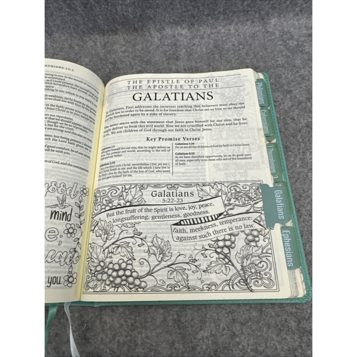 KJV Holy Bible, My Promise Bible, Faux Leather Hardcover w/Bible Tabs, Color...