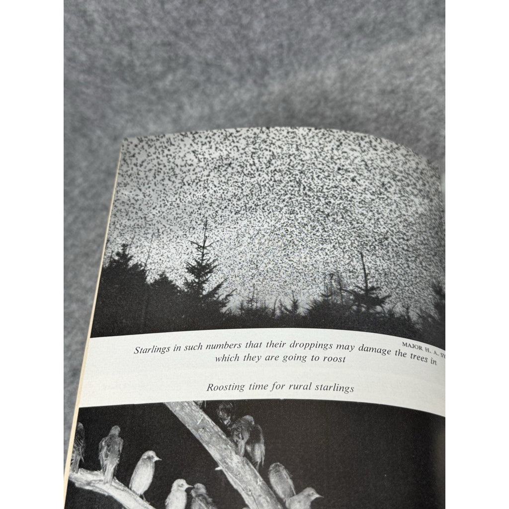 Down the Long Wind Garth Christian 1963 Bird Migration Hardcover DJ