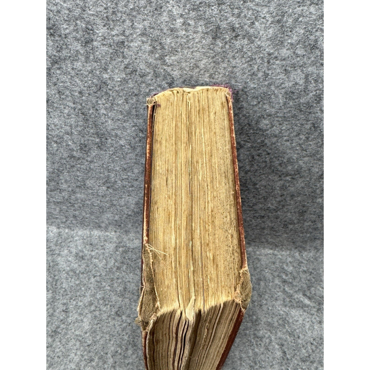 1880 The Mysterious Island Jules Verne R Worthington Illustrated Antique