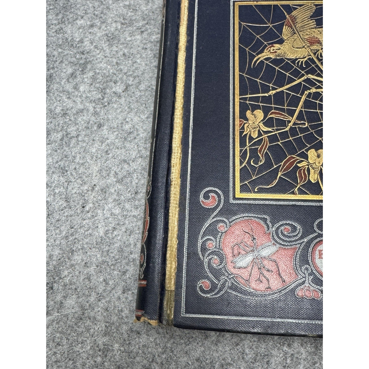 1906 The Romance of Insect Life Edmund Selous Illustrated Decorative Hardcover
