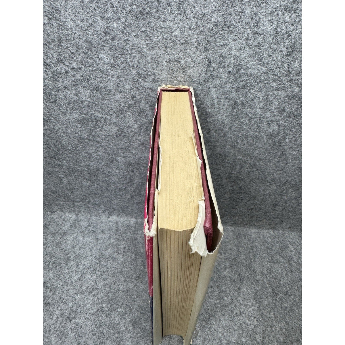 Light Your Torches Pull Up Your Tights Tay Garnett 1973 Hollywood Memoir HC