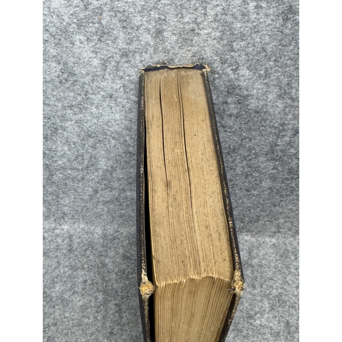 c.1872 The Insect World Louis Figuier 579 Illustrations Antique Gilt Hardcover