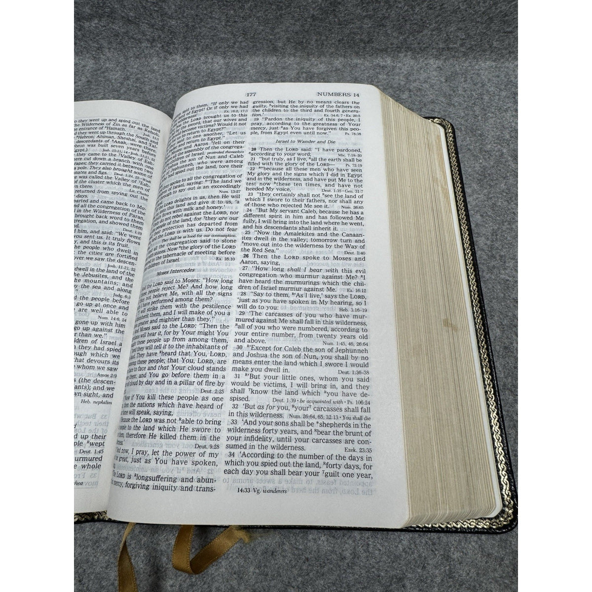 Holy Bible 150th World YMCA Anniversary Edition: The New Open Bible Study...
