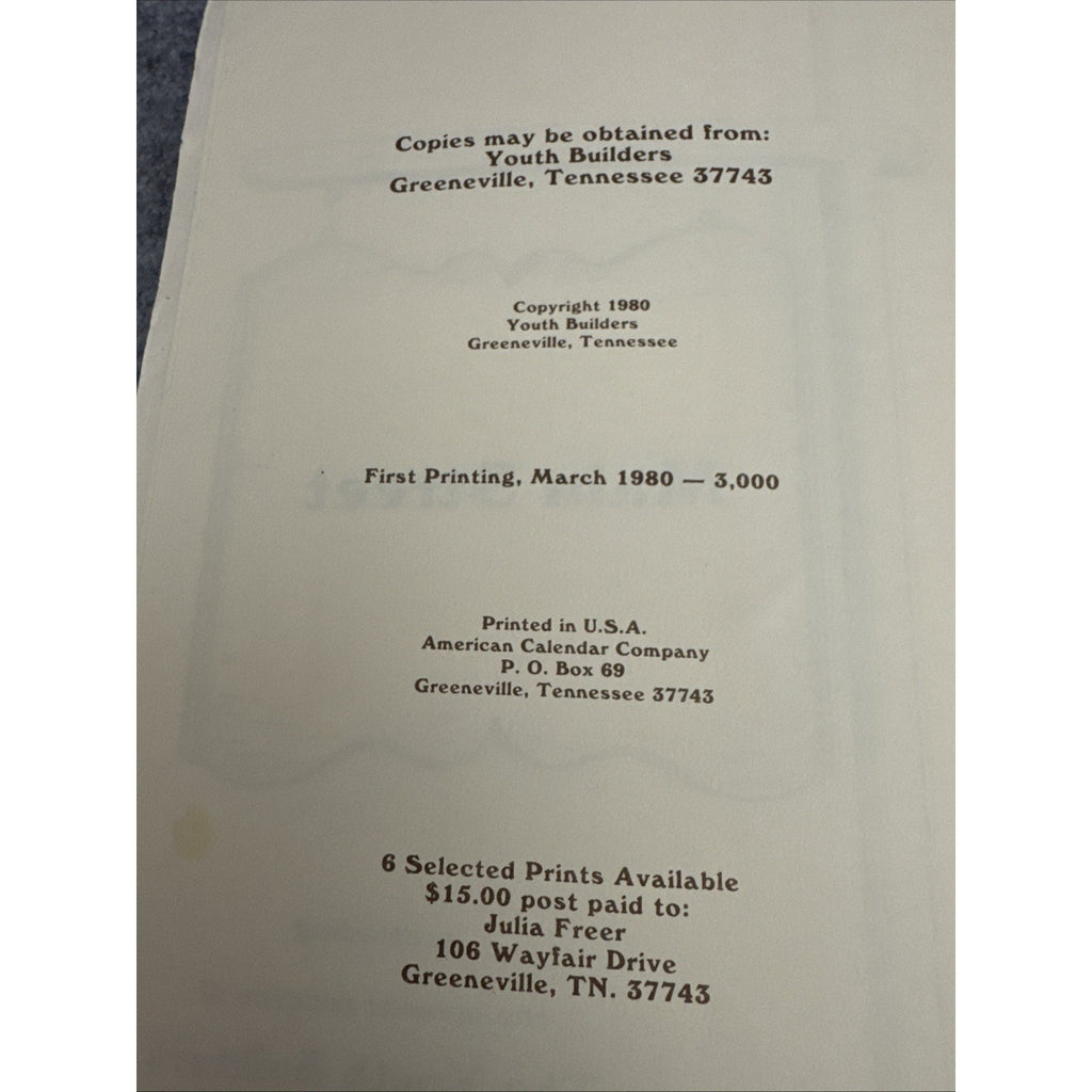 Main Street Youth Builders Of Greenville Tennessee Cookbook 1980 1st Printing