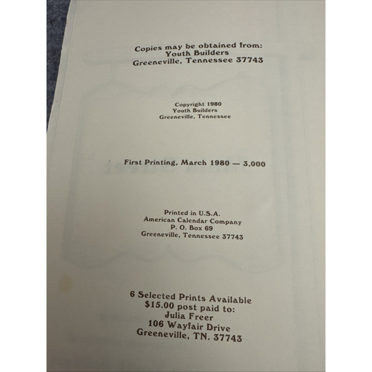 Main Street Youth Builders Of Greenville Tennessee Cookbook 1980 1st Printing