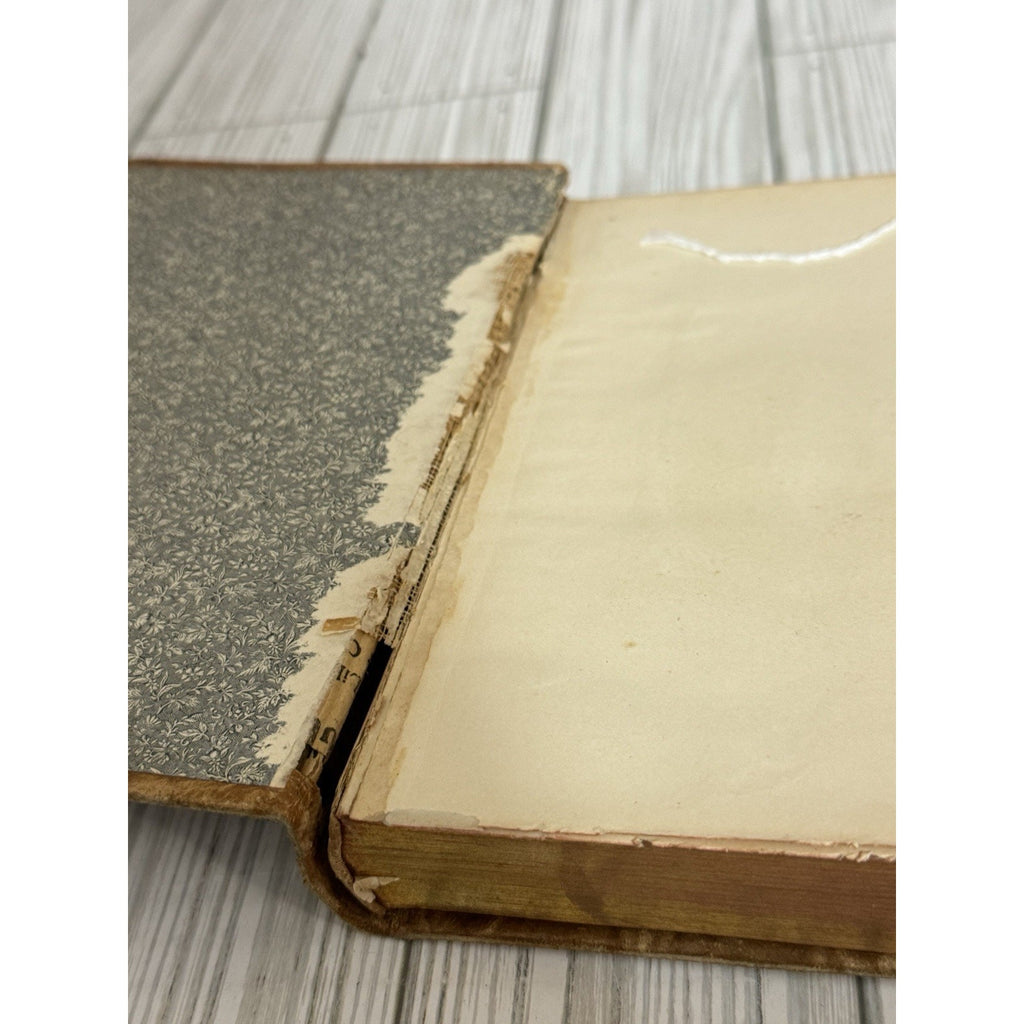 The Poetical Works of Robert Burns Antique Leather HC Hurst & Co