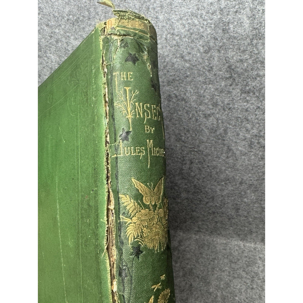 1875 The Insect Jules Michelet First English Edition Giacomelli Illustrated HC