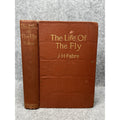 1913 Life of the Fly J Henri Fabre First American Edition Hardcover Gilt Top