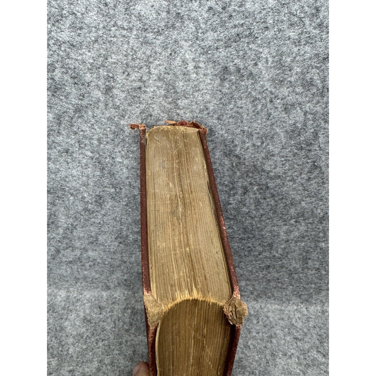 The Testimony of the Rocks Hugh Miller Antique Illustrated Geology Theology HC