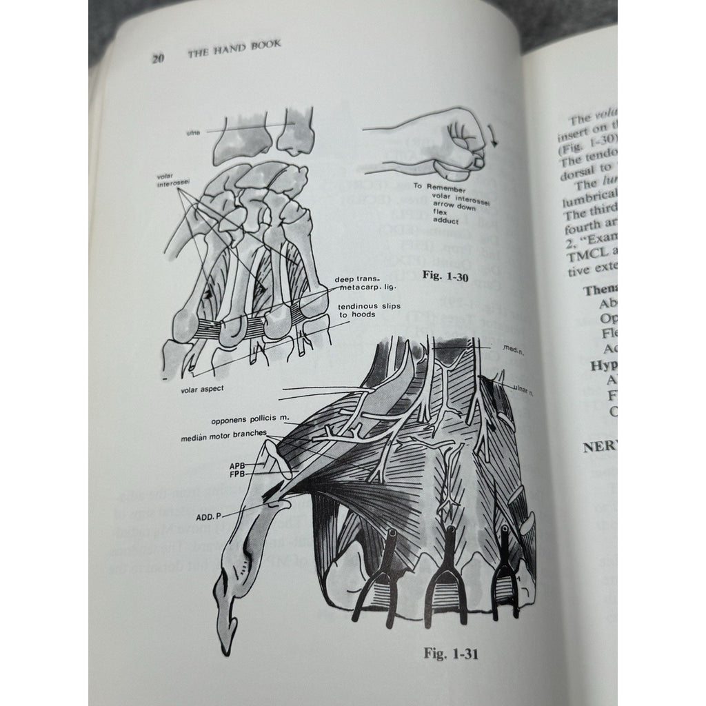 The Hand Book Stephan Ariyan 1989 Hand Surgery Reconstructive Medical Text