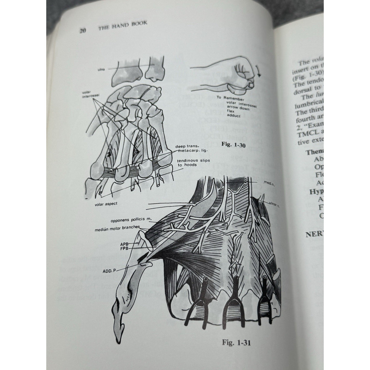 The Hand Book Stephan Ariyan 1989 Hand Surgery Reconstructive Medical Text