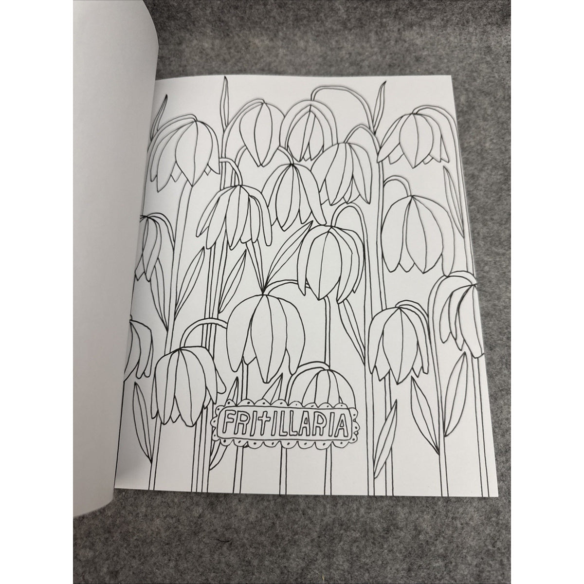Just Add Color: Wildflowers 30 Original Illustrations to Color, Customize, and