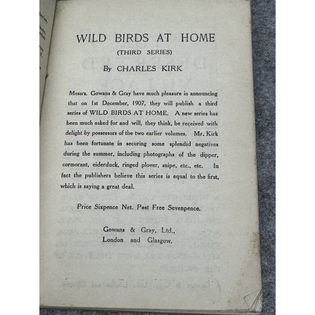 1907 Pond and Stream Life Johnson 1st Ed Gowans Nature Book No 18 Photos
