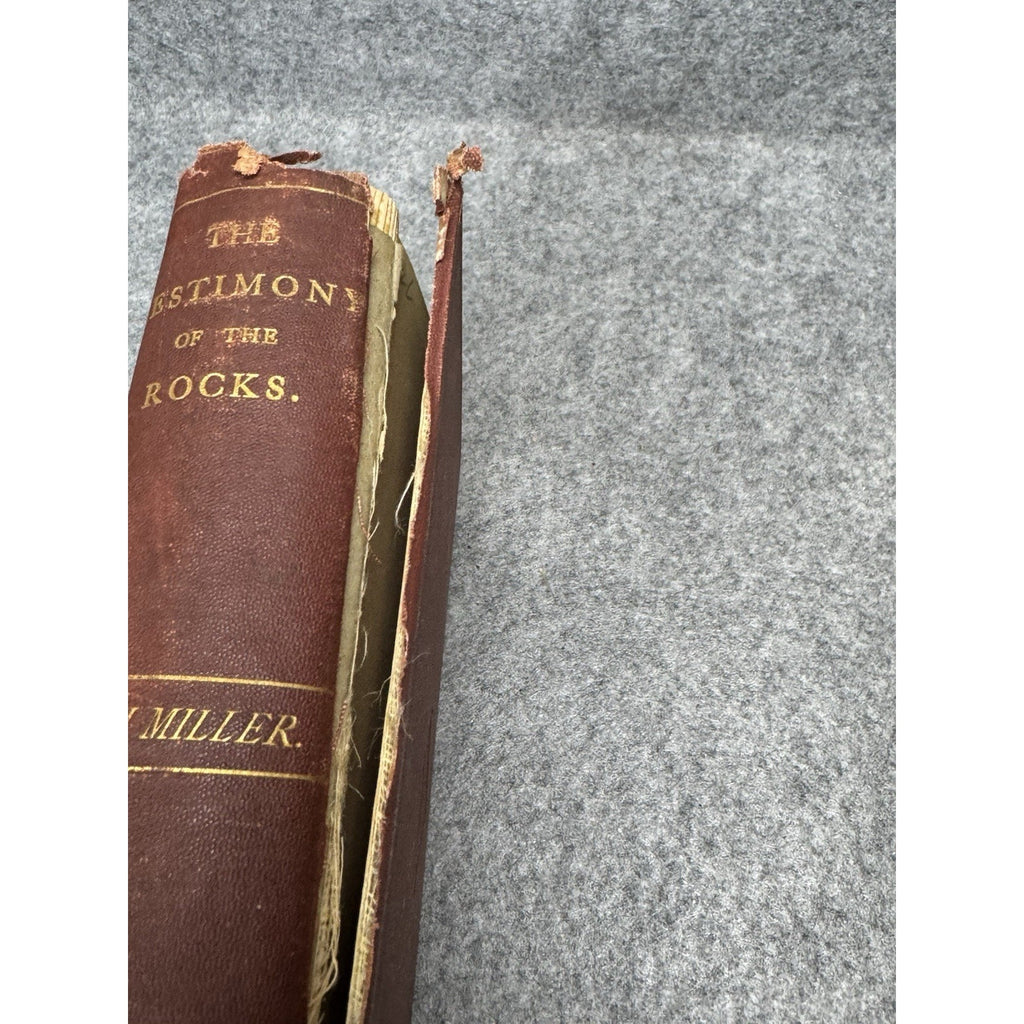 The Testimony of the Rocks Hugh Miller Antique Illustrated Geology Theology HC