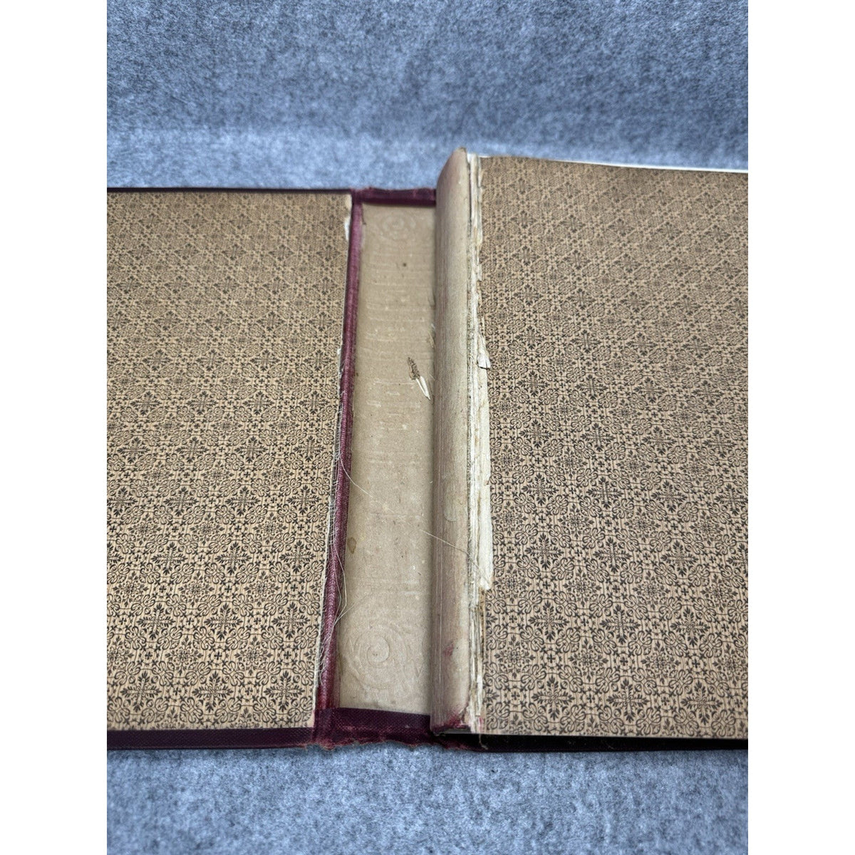 1907 Pennsylvania State Government in Picture and Story Rodearmel Illustrated