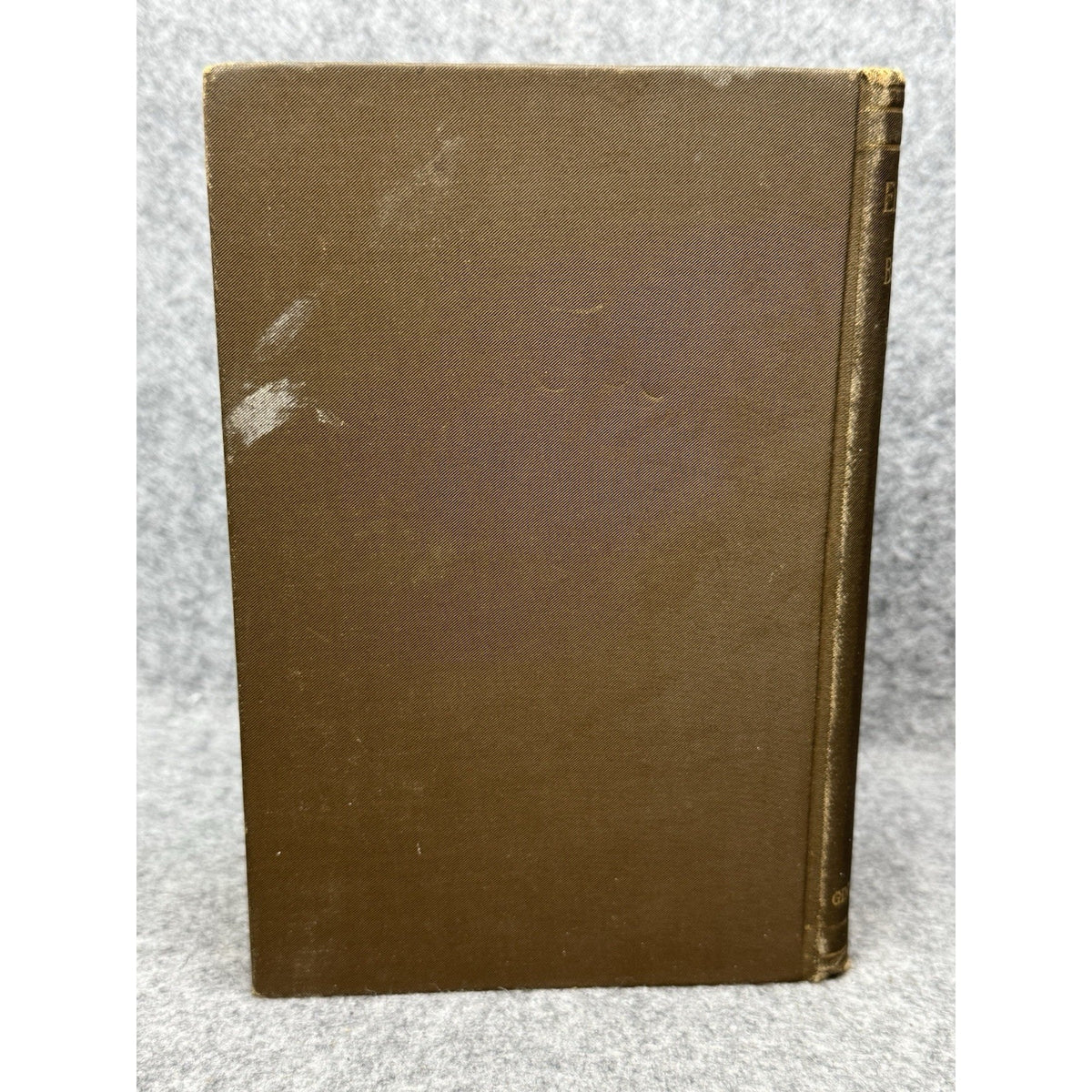 1896 Elements of Botany J Y Bergen Illustrated Antique Plants Science Hardcover